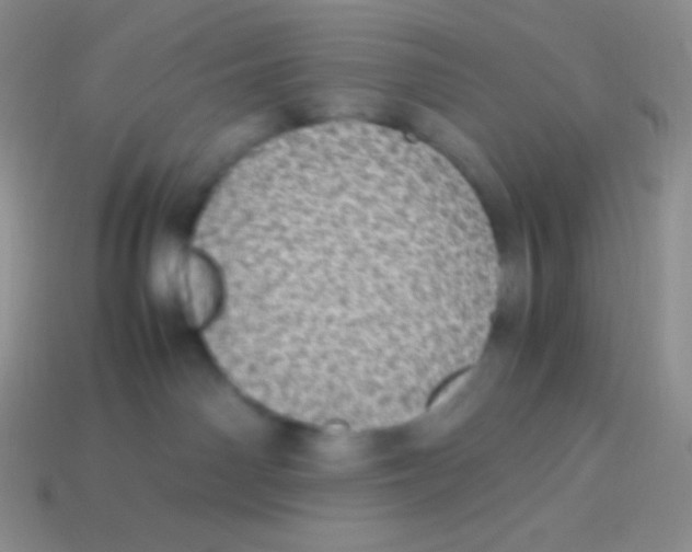 X0000113640142200910162045