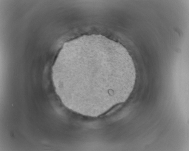 X0000113640144200910162045