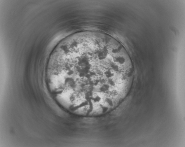 X0000113640145200910162044