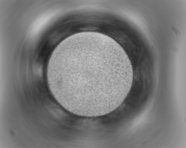 X0000113640146200910162044