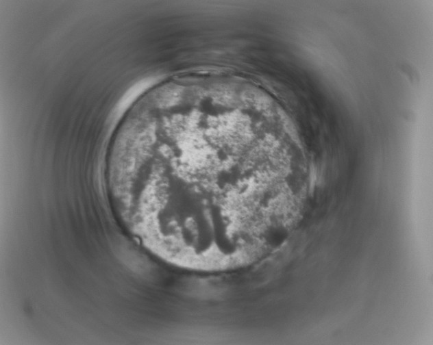 X0000113640147200910162044