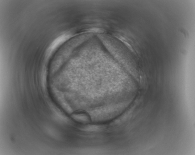 X0000113640149200910162044