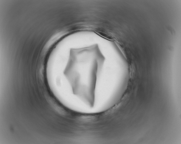 X0000113640150200910162044