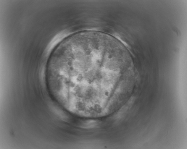 X0000113640151200910162044