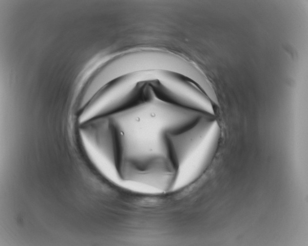 X0000113640152200910162044