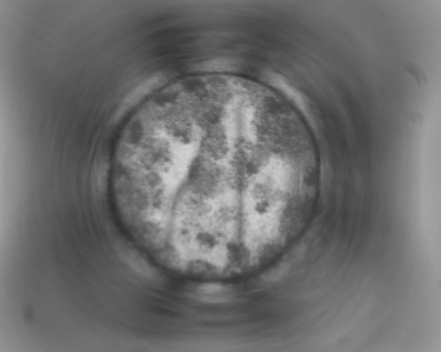 X0000113640153200910162044