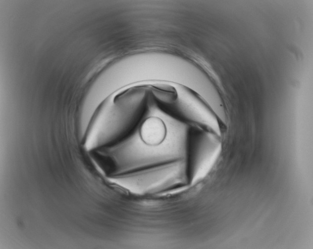 X0000113640154200910162044