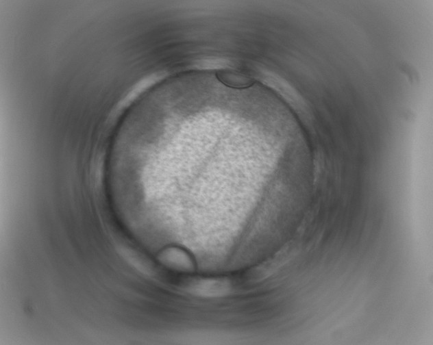 X0000113640155200910162044