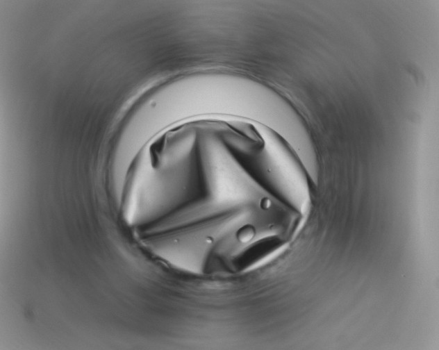 X0000113640156200910162044