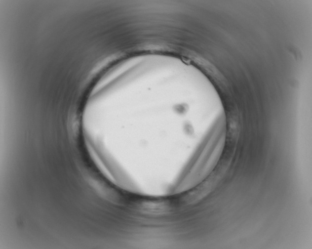 X0000113640160200910162045