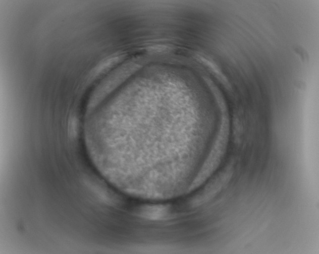 X0000113640161200910162045