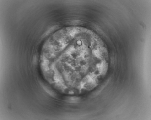 X0000113640165200910162045