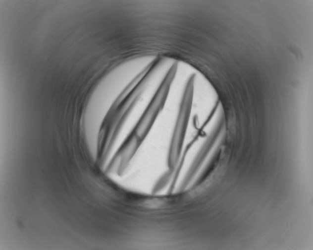 X0000113640172200910162045