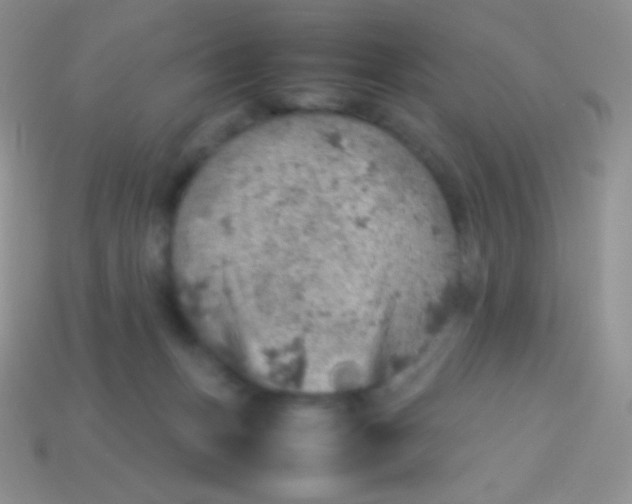 X0000113640175200910162045