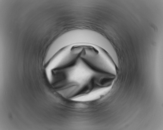 X0000113640176200910162045