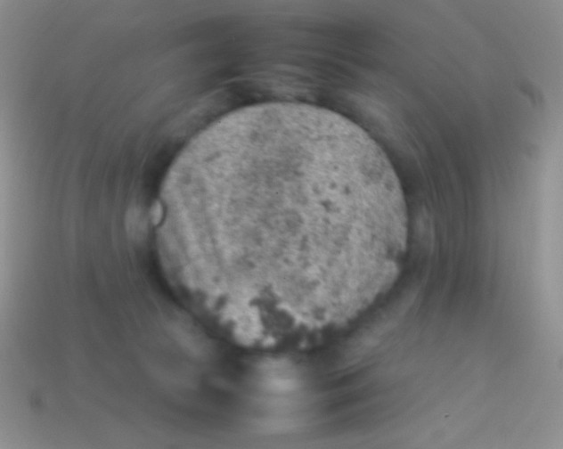 X0000113640177200910162045