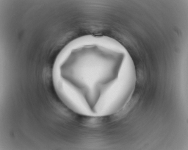 X0000113640184200910162045