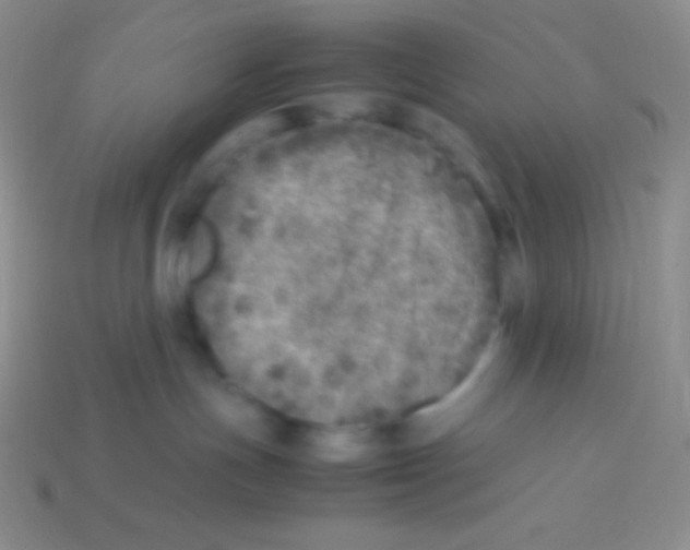 X0000113640191200910162045