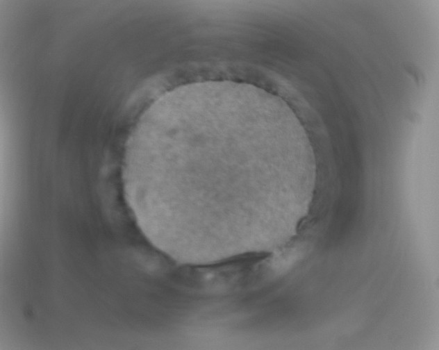 X0000113640192200910162045