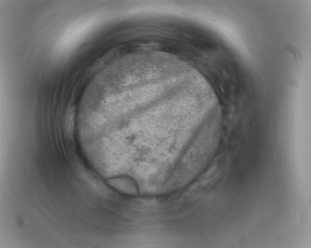 X0000113640194200910162044