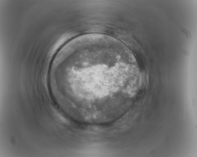 X0000113640195200910162044