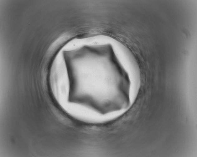 X0000113640197200910162044