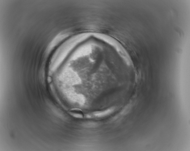 X0000113640198200910162044