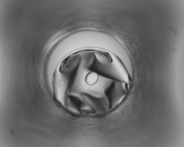 X0000113640199200910162044