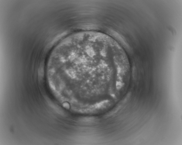 X0000113640202200910162044