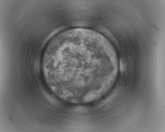 X0000113640204200910162044