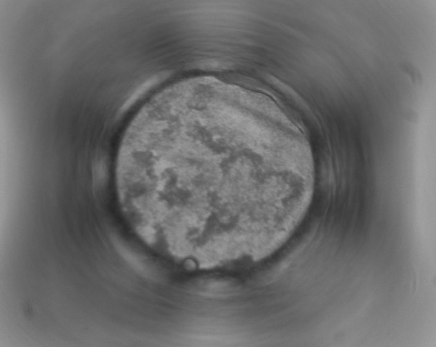 X0000113640208200910162044