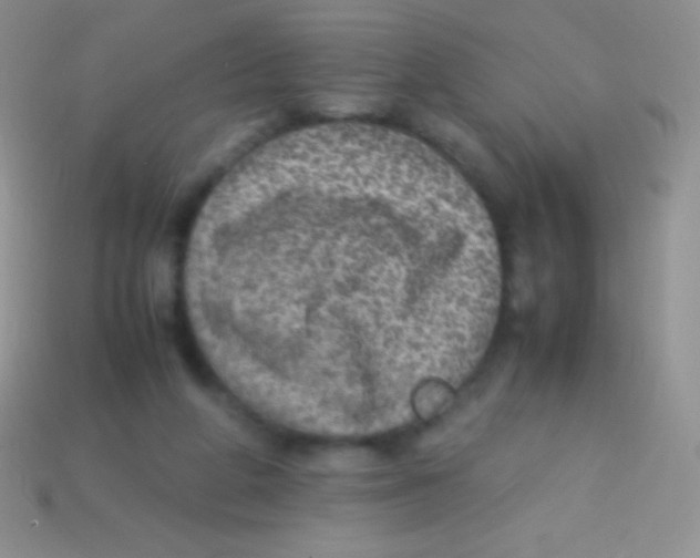 X0000113640210200910162044