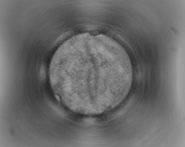 X0000113640216200910162044