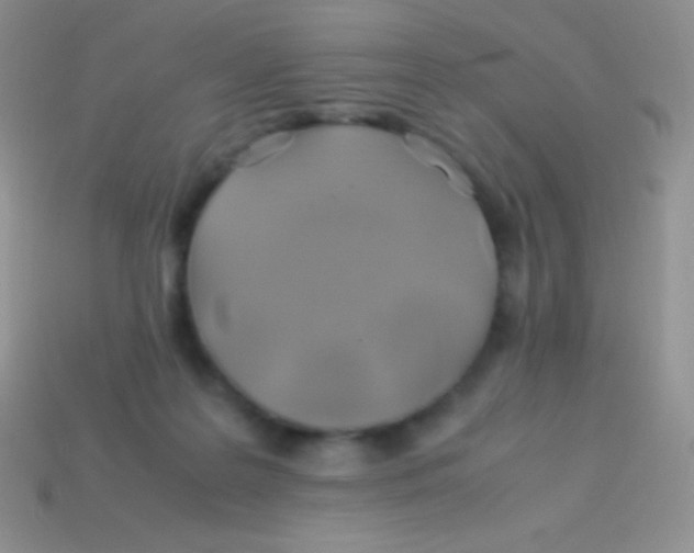 X0000113640219200910162044