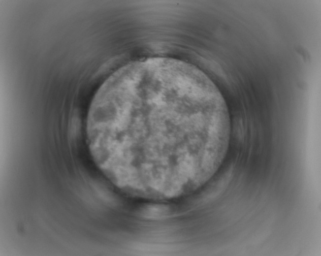 X0000113640220200910162044