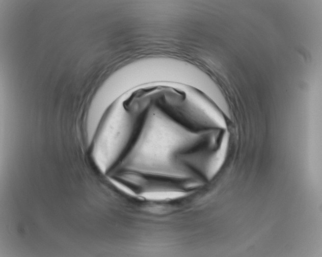 X0000113640221200910162044