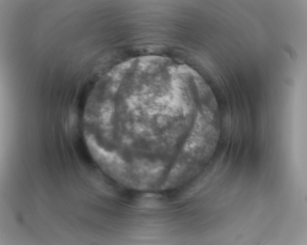 X0000113640222200910162044