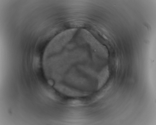 X0000113640224200910162044