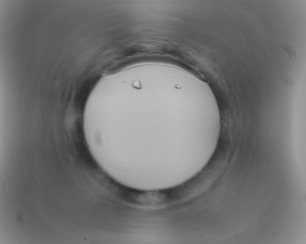 X0000113640225200910162044