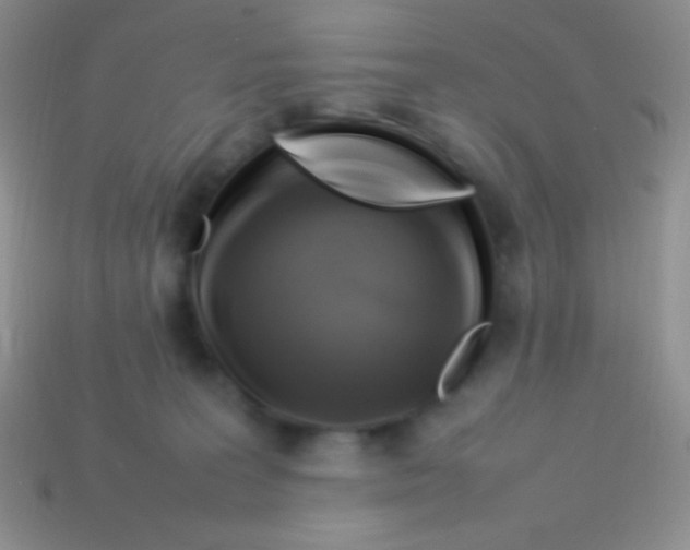 X0000113640227200910162044