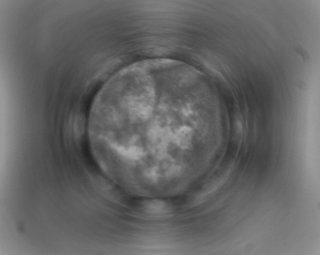 X0000113640230200910162044