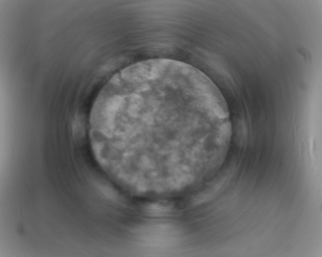 X0000113640232200910162044