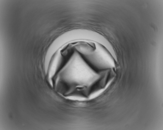 X0000113640233200910162044