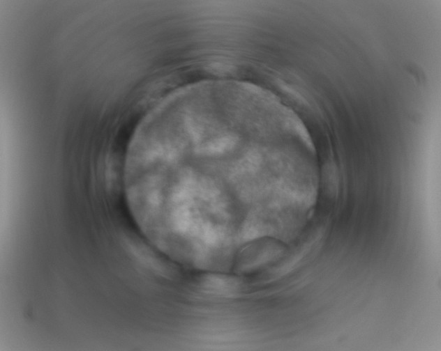 X0000113640234200910162044