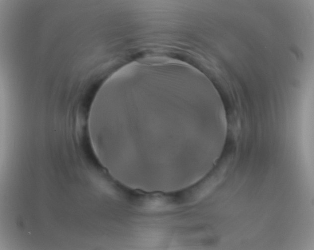 X0000113640235200910162044