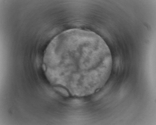 X0000113640236200910162044