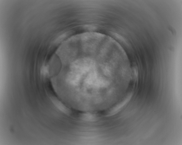 X0000113640238200910162044