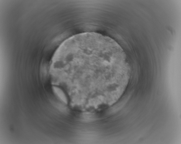 X0000113640240200910162044