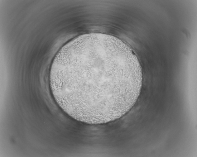 X0000113640241200910162043