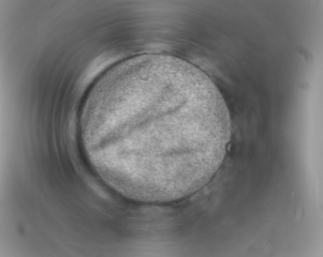 X0000113640242200910162043